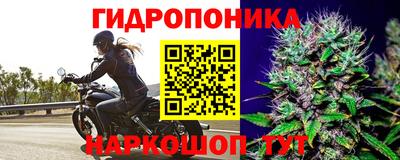 PSILOCYBIN Новокубанск