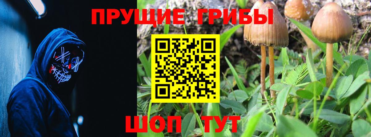 Пушкино  Галлюциногенные грибы прущие грибы  Вход с VPN  где купить наркотик  Псилоцибиновые грибы прущие грибы 